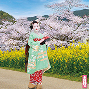 �񵸥�������