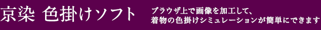 京染 色掛けソフト